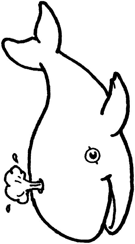 Kids N Coloring Page Animals Whale