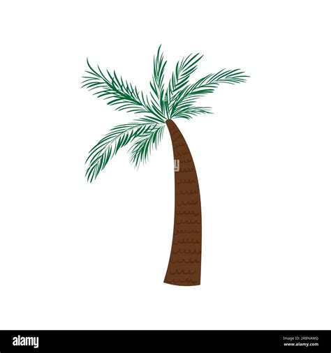 Hand Drawn Colored African Florida Palm Tree With Green Leaves And