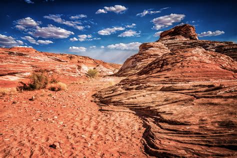Desert Colors Foto And Bild North America United States Arizona