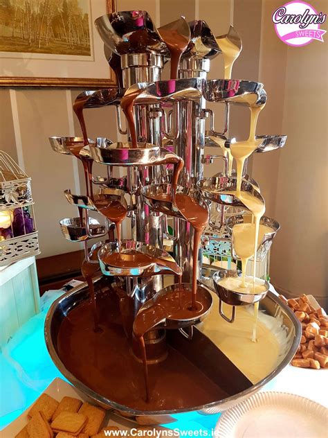This can prevent your chocolate fountain from getting dirty and makes your chocolate fountain moisture free also. Chocolate Fountain Hire from Carolyn's Sweets.ie. Single ...