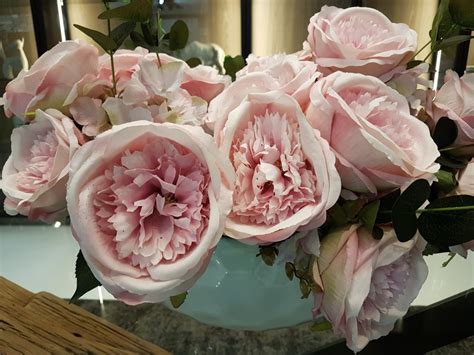 Festeggiare la fine del suo percorso lavorativo è una grande gioia, che è bene condividere con tutta la famiglia. Cosa regalare alla mamma: fiori, gadget, profumi ...