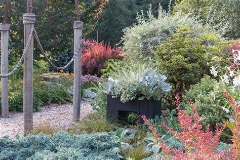 Deer feeding preferences the plants deer prefer to eat vary from region to region and can even change seasonally. Deer-Resistant Containers: Before & After - Le Jardinet