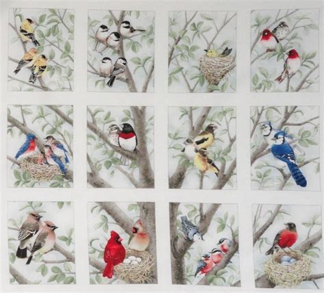 12 Block Fabric Panel Beautiful Bird Quilt Squares Chickadee Bluejay