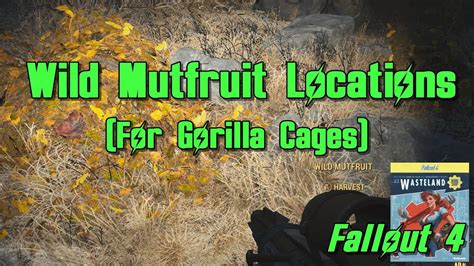 Fallout 4 wasteland workshop not working. Wild Mutfruit Locations (for Gorilla Cages) - Fallout 4 Wasteland Workshop DLC - YouTube