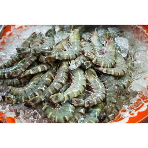 Buy Wholesale Canada Selling Fresh Frozen Whole Vannamei Shrimp White