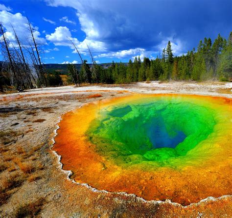 Morning Glory Pool Yellowstone Park The Colors Really Look Like This