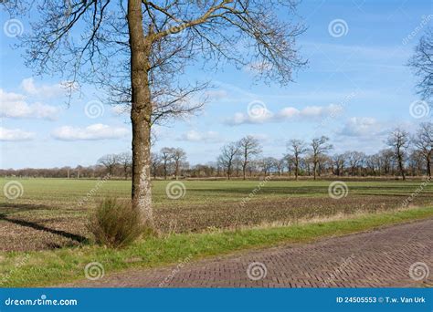 Country Road In The Netherlands With Farmland Stock Image Image Of