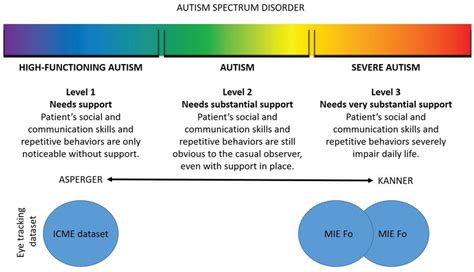 What Are The 5 Disorders On The Autism Spectrum 2022