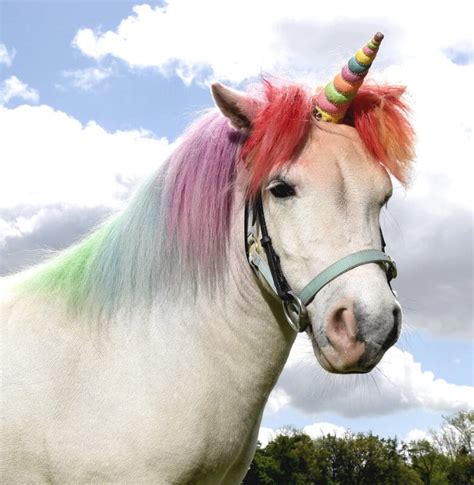 Albums 102 Wallpaper Pictures Of Real Life Unicorns Superb 102023