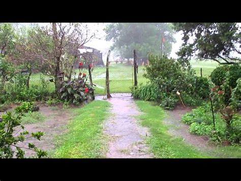 Es cualquier tipo de agua que cae desde las nubes sobre la superficie de la tierra. Lluvia en el campo - YouTube