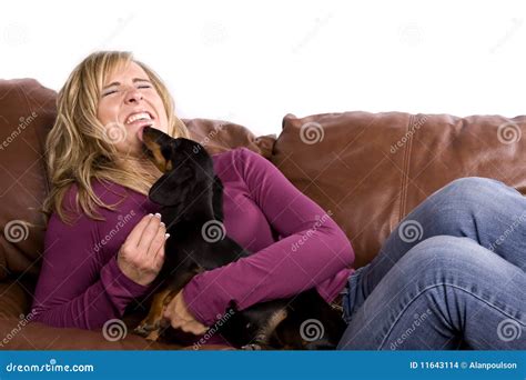 cane che ottiene donna leccata fotografia stock immagine di occupato disposizione 11643114