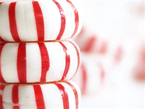 9 Creative Peppermint Recipes For The Holiday Season
