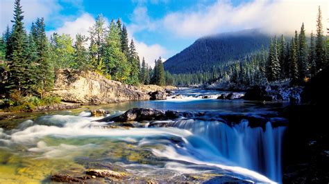 Free Download Mountain River At Summer Forest Landscape 18438 Wallpaper