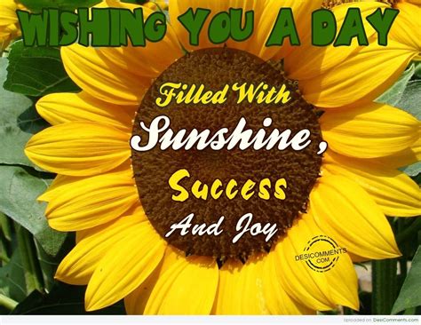 Wishing You A Day Filled With Sunshine Desi Comments