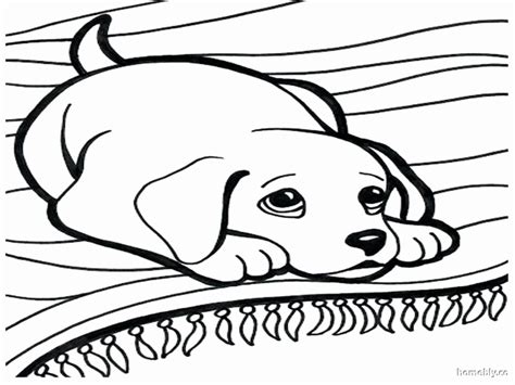 These puppy coloring pages are ideal for your little animal lovers. Golden Retriever Puppy Coloring Pages at GetColorings.com ...