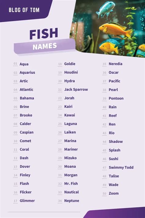 Fish Names Cute Cool Funny Ideas For Males Females