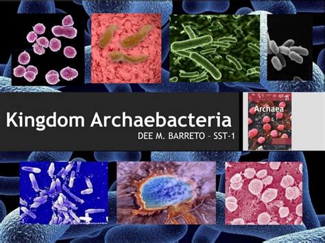 Kingdom Archaebacteria Ppt