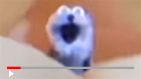 MEMES THAT'LL MAKE YOU SCREAM - YouTube