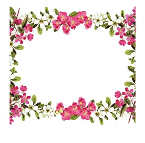 Bunga krokot merah, bunga cantik harga murah meriah ini sangat cocok sebagai tanaman hias di halaman rumah kita. 20+ Inspirasi Frame Border Bunga Cantik - Stylus Point