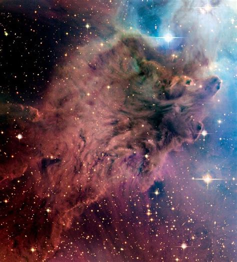 Cfht Image Of The Fox Fur Nebula Nebula Hubble Images
