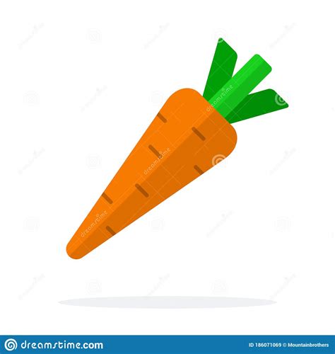 Carrot Vector Flat Material Design Isolated Object On White Background