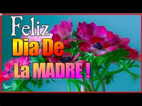 A favor en contra 29(31 votos). Feliz Dia De La Madre - Frases Hermosas Para Dedicar Por ...