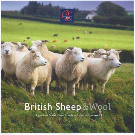British Sheep Wool Sheep Breed Guide Wool Book Fibre Book Etsy