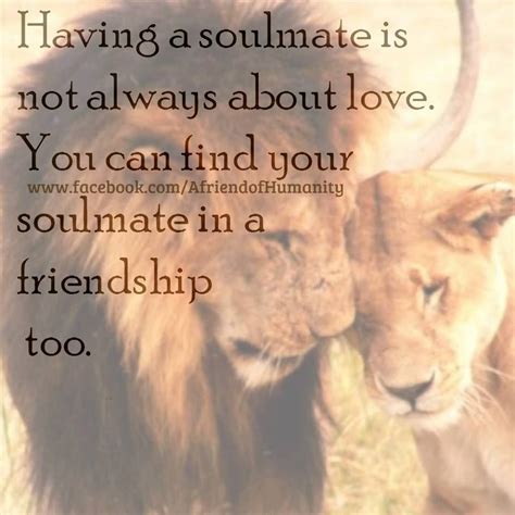you can find your soulmate in friendship too life quotes quotes quote