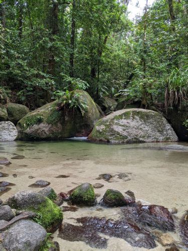Best 10 Hikes And Trails In Daintree National Park Alltrails