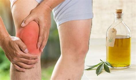 They may hiss, bite, or scratch to show their resentment. CBD oil an effective natural treatment for joint pain ...