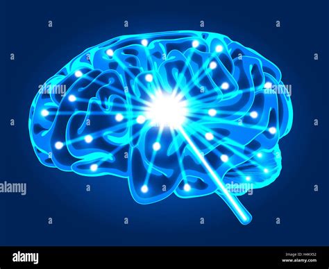 Abstract Human Brain Activity Xray Done In 3d Rendering Stock Photo