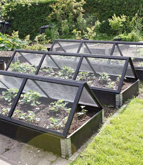 Practical considerations aside, greenhouses can also be turned into really beautiful places to call home. What is The Benefits of Having a Greenhouse | Vegetable ...