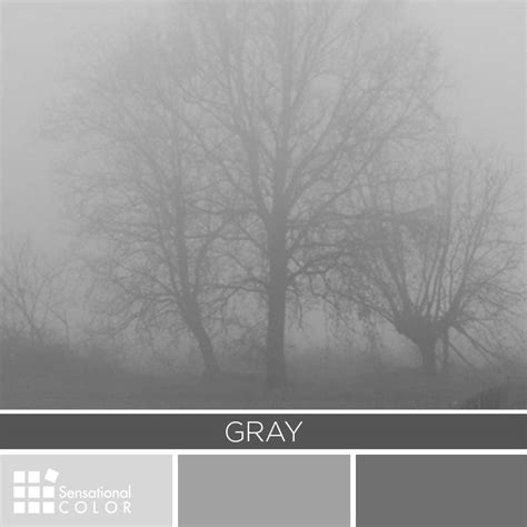 Gray Color Palette Sensational Color