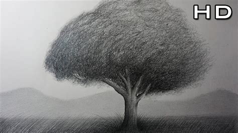 Cómo Dibujar un Árbol Realista a lápiz Paso a Paso Para ...