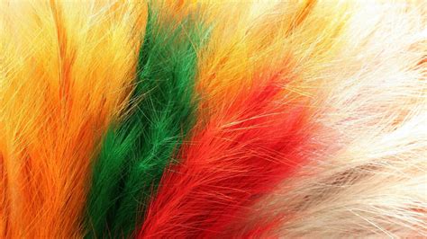 Colorful Feathers Hd Desktop Wallpaper Background Download