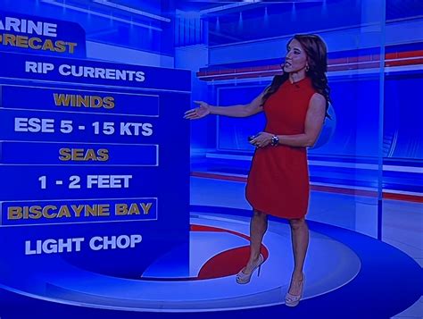Vivian Gonzalez - WSVN - Miami : r/hot_reporters