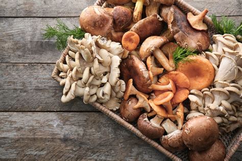 39 Different Types of Edible Mushrooms (with Pictures!) - Clean Green gambar png