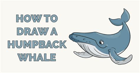 How To Draw A Humpback Whale Really Easy Drawing Tutorial