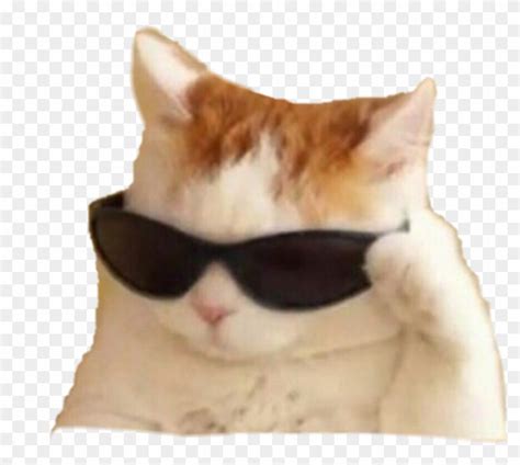 To search on pikpng now. Dancing Cat Meme Png - apsgeyser