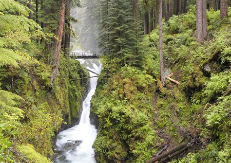 Olympic National Park In Washington Best And Least Crowded Trails And