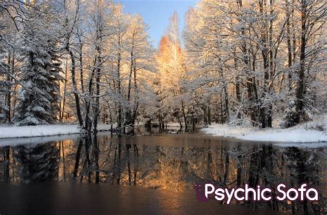 Последние твиты от psychic sofa (@psychicsofa). Articles | Psychic Sofa