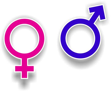 Pink And Blue Sex Symbols Free Image Download