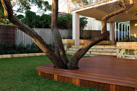 15 Ideas For Landscaping Around Trees