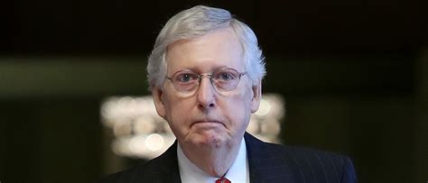Moscow addison mitchell yertle the turtle master of disguise mcconnell, jr. Protesters Gather Outside Mitch McConnell's Home. One ...