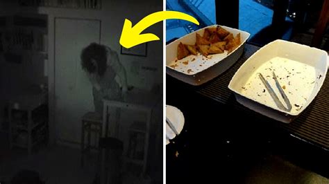 Man Sets Up Camera After Food Goes Missing But Was Left Astonished When He Saw The Recording