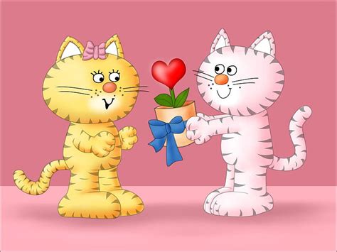 Valentines Cats Valentines Day Flower Cat Lovers Heart Hd