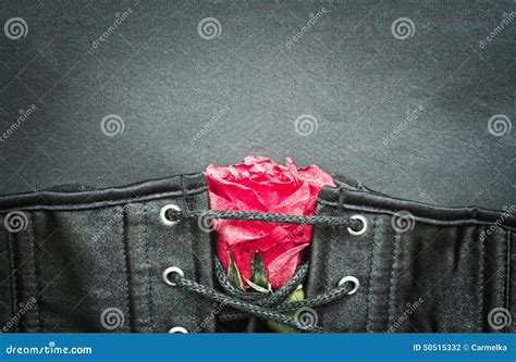 Bdsm Gothic Fetish Corset With Rose Stock Photo Image Of Brown Icon