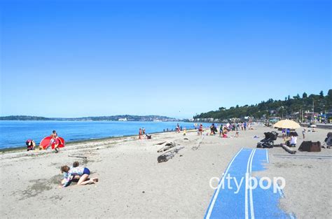 Alki Beach Seattle Swimming And Restaurants
