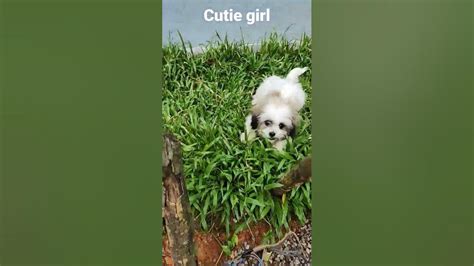 Cutie Girl Youtube