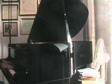 Suona da 1 anno e 2 mesi! Chopin studio op.25 n.1 Arpa eolica - YouTube